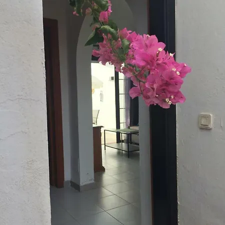 Casa Nelly Caleta Apartment *